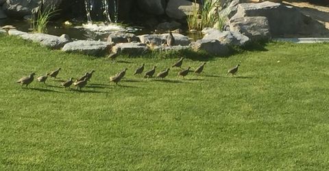 1034 Winters Parkway, Dayton, NV 89403 Photo