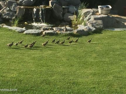 1034 Winters Parkway, Dayton, NV 89403 Photo