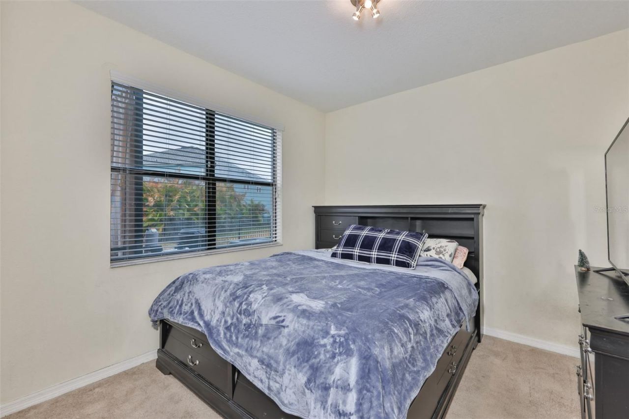 10039 Smarty Jones Drive, Ruskin, FL 33573 Photo