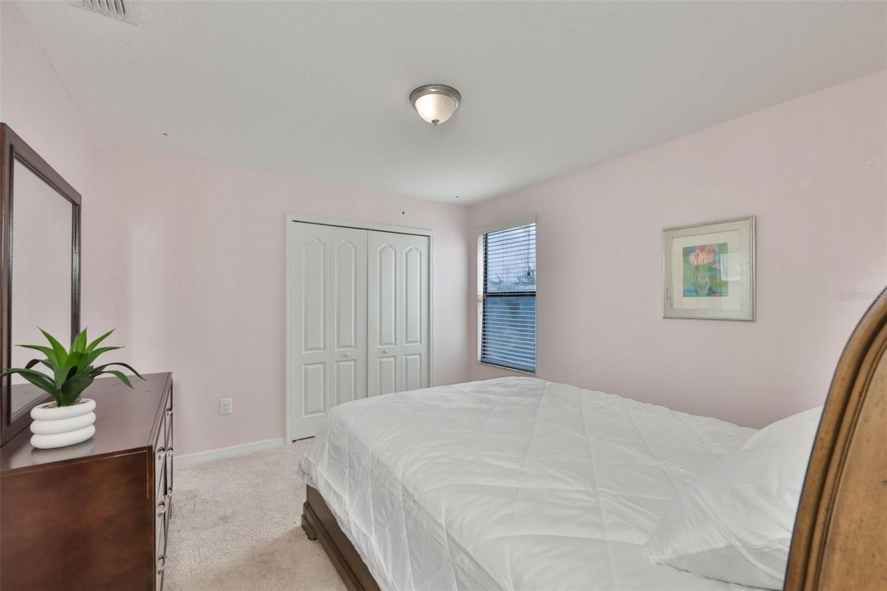 10039 Smarty Jones Drive, Ruskin, FL 33573 Photo