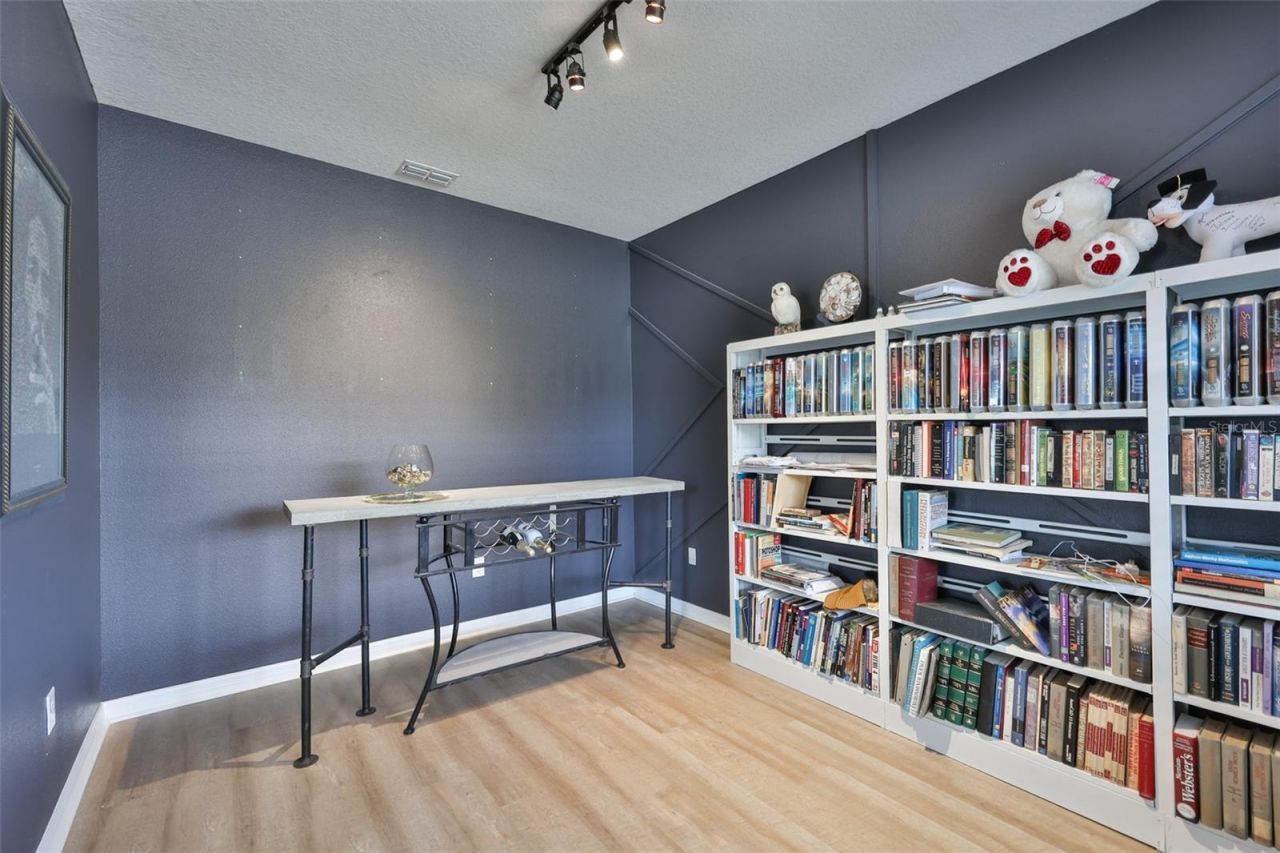 10039 Smarty Jones Drive, Ruskin, FL 33573 Photo