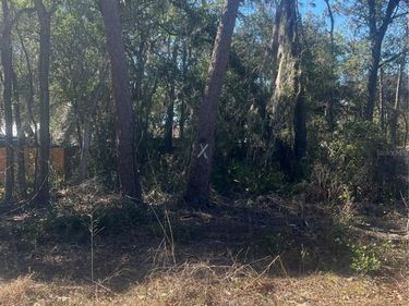 W SECOND AVENUE, UMATILLA, FL 32784