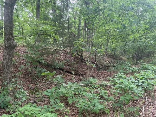 Gainford Drive , Bella Vista, AR 72714