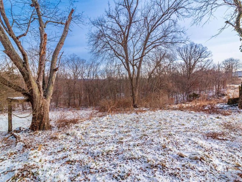 718 Panhandle Avenue, West Union, OH 45693 Photo 14