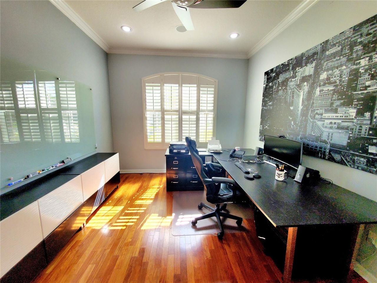 10004 Tree Tops Lake Road, Tampa, FL 33626 Photo