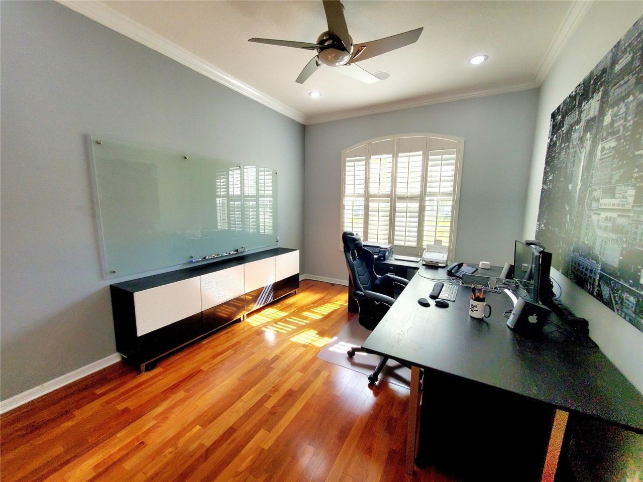 10004 Tree Tops Lake Road, Tampa, FL 33626 Photo