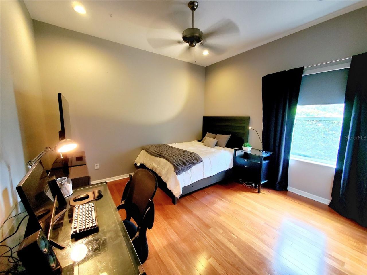 10004 Tree Tops Lake Road, Tampa, FL 33626 Photo