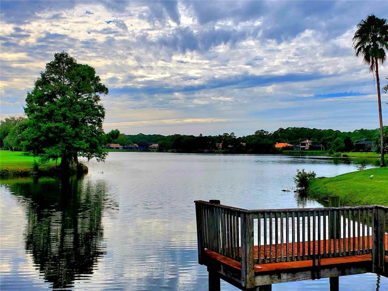 10004 Tree Tops Lake Road, Tampa, FL 33626 Photo