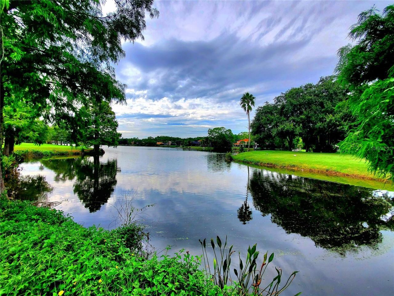 10004 Tree Tops Lake Road, Tampa, FL 33626 Photo