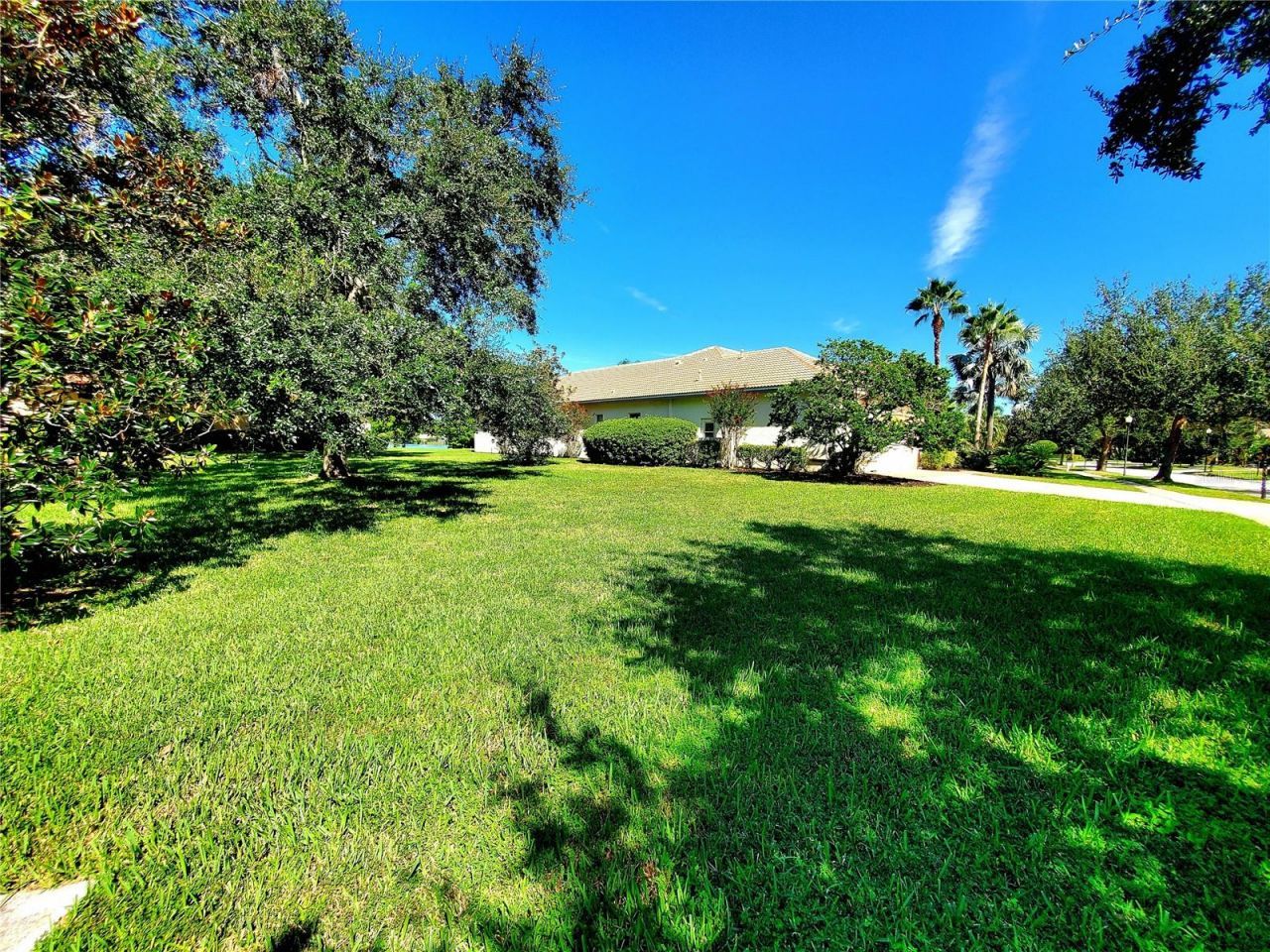 10004 Tree Tops Lake Road, Tampa, FL 33626 Photo