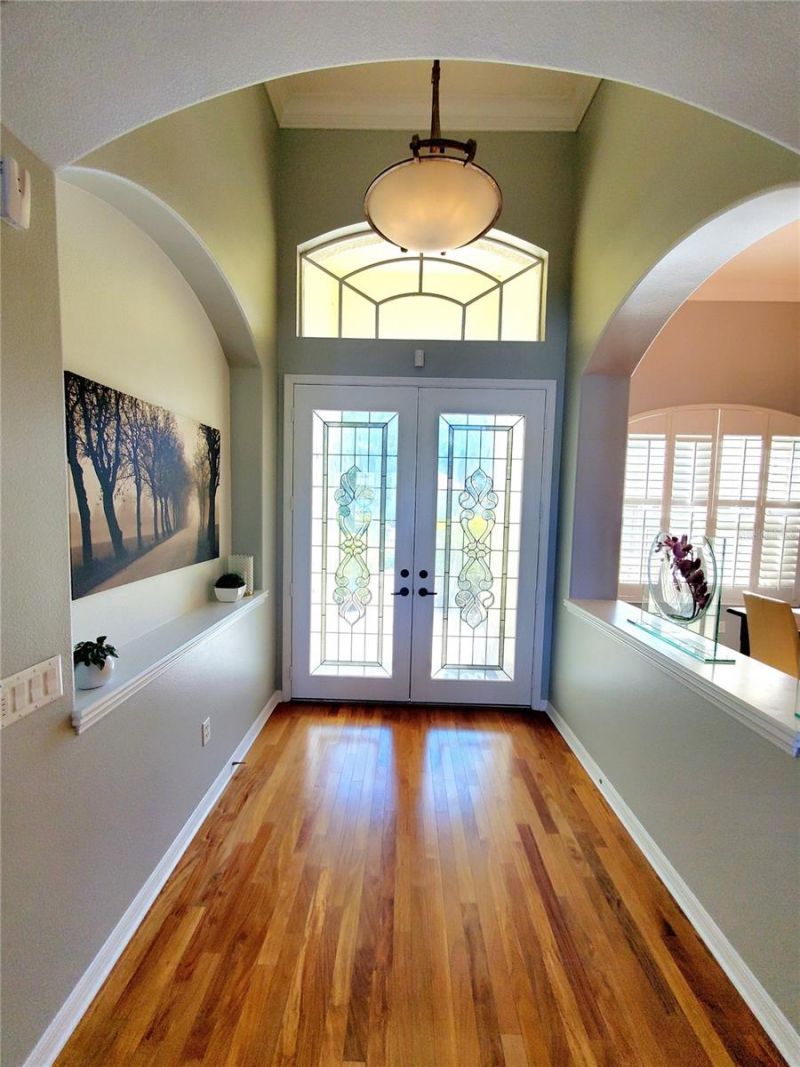 10004 Tree Tops Lake Road, Tampa, FL 33626 Photo