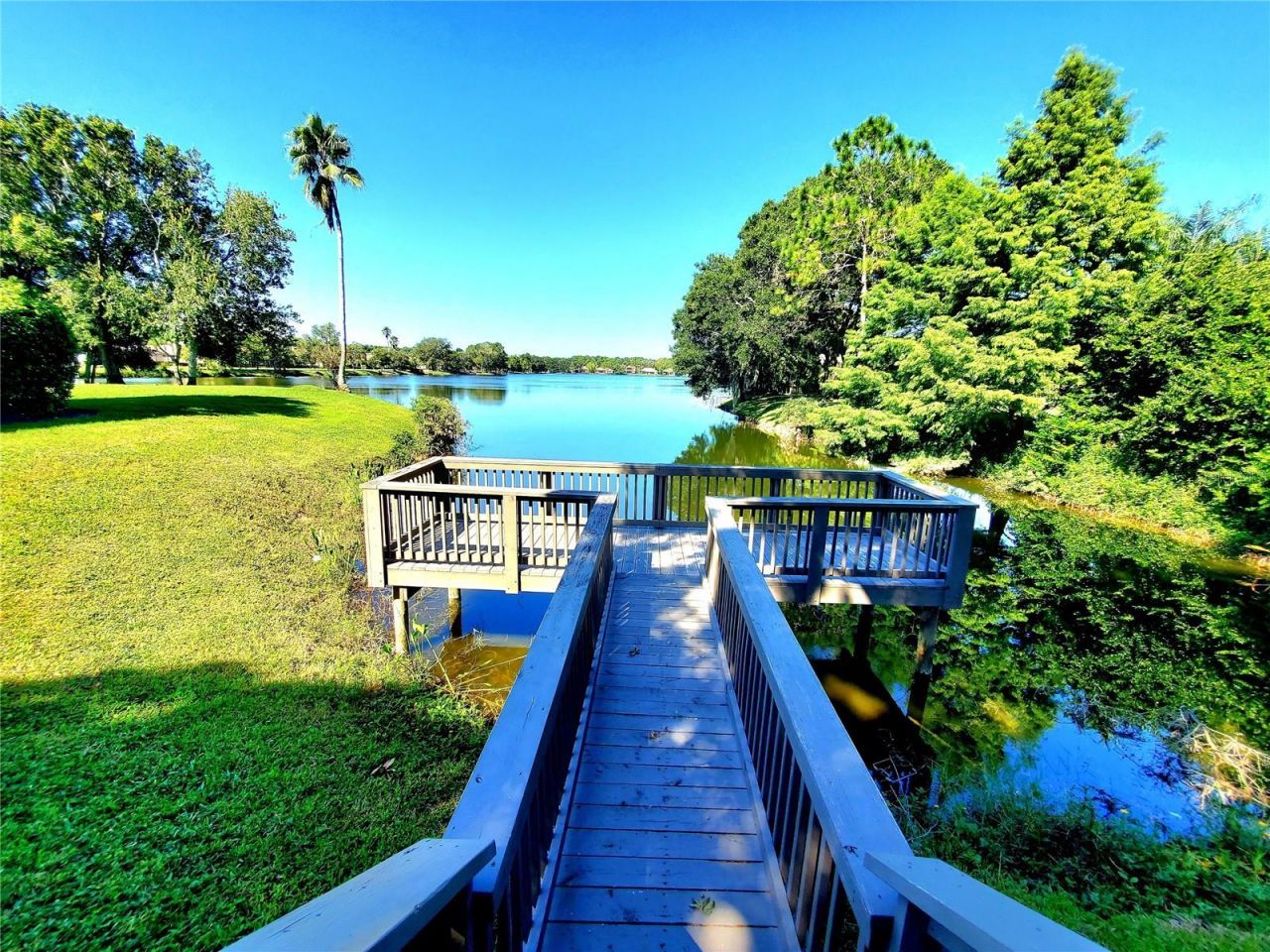10004 Tree Tops Lake Road, Tampa, FL 33626 Photo