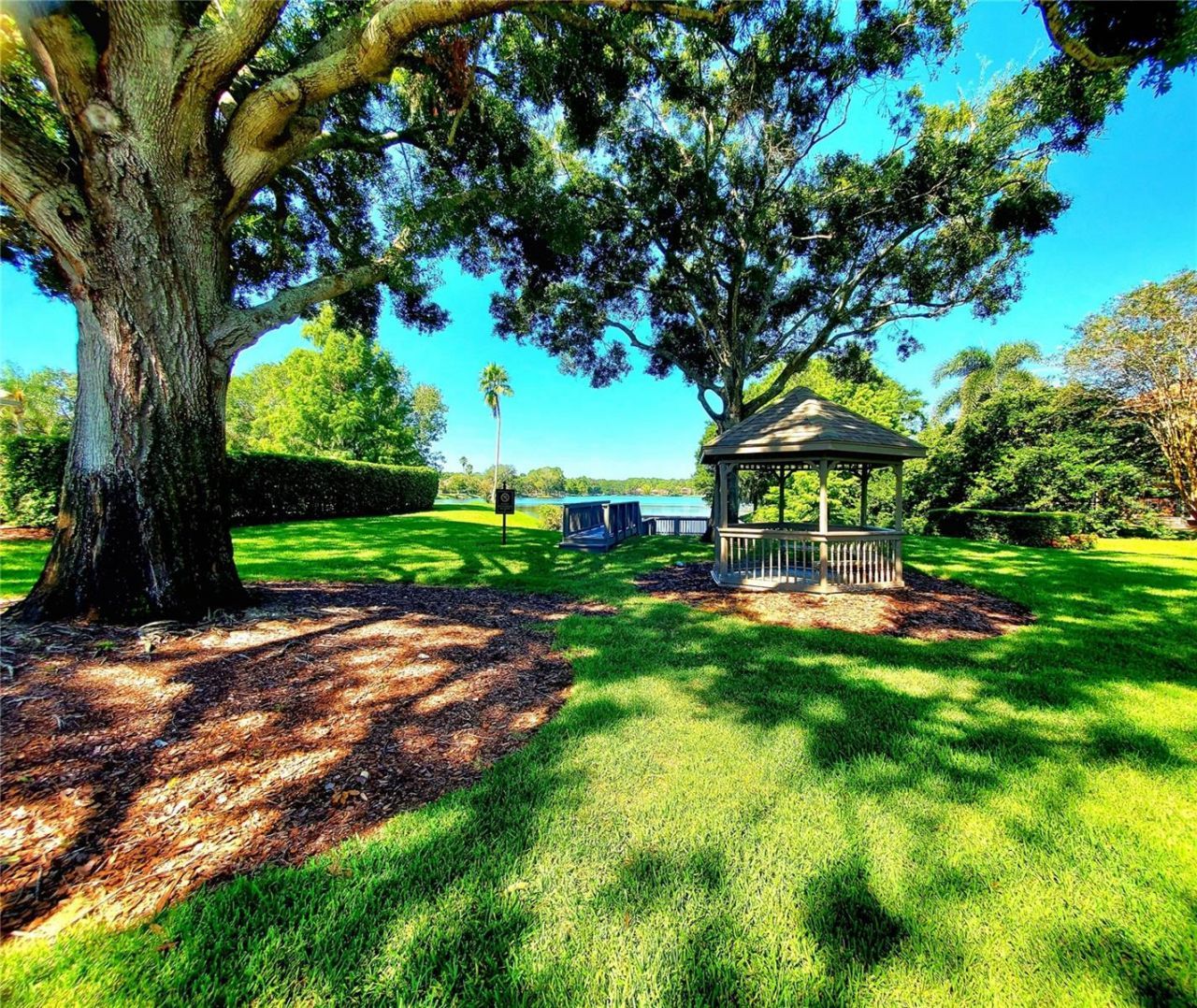 10004 Tree Tops Lake Road, Tampa, FL 33626 Photo