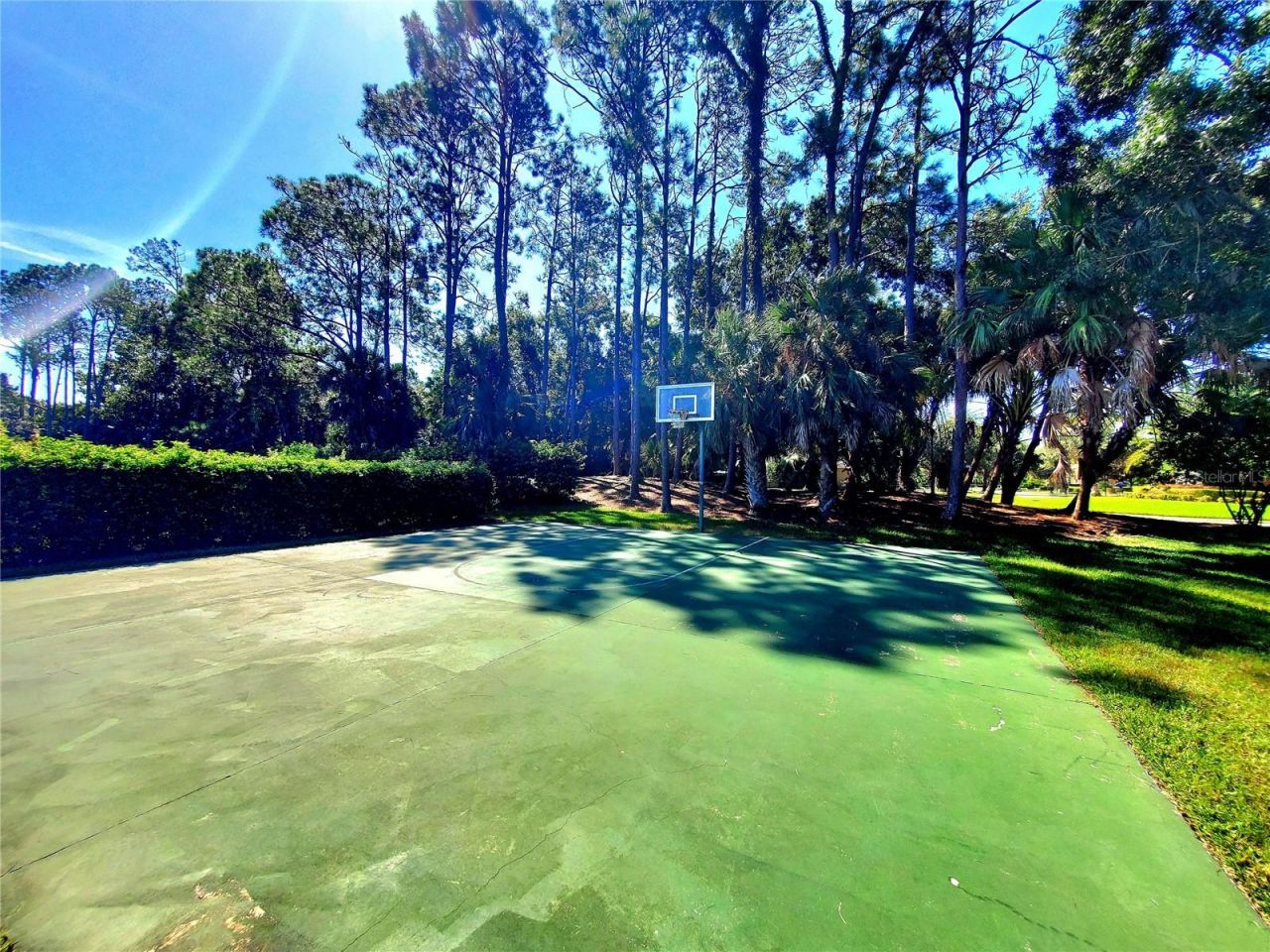 10004 Tree Tops Lake Road, Tampa, FL 33626 Photo