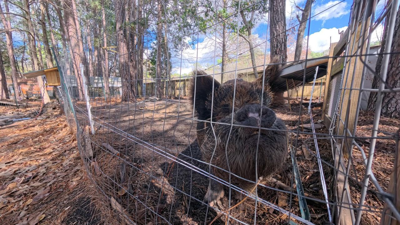 628 Deepwood Court Photo 58
