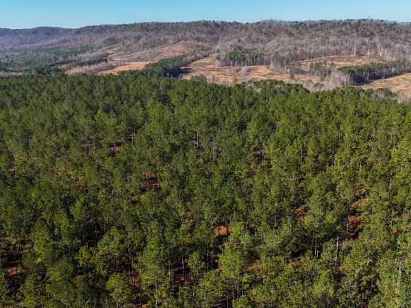 0 Gaylor Road, Lyerly, GA 30730