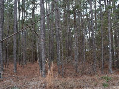 1909 Whitting Green Lane, Lugoff, SC 29078