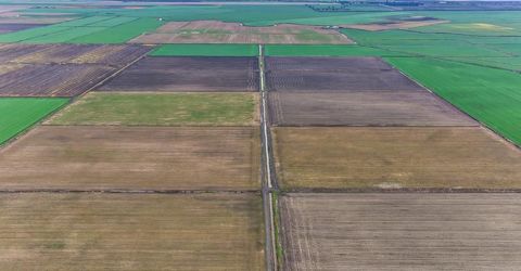 3834 State Highway 84, Walnut Grove, CA 95690 Photo