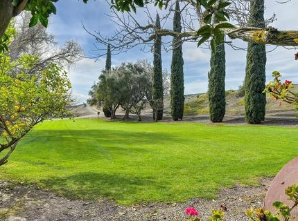 3834 State Highway 84, Walnut Grove, CA 95690 Photo