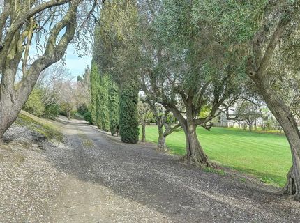 3834 State Highway 84, Walnut Grove, CA 95690 Photo