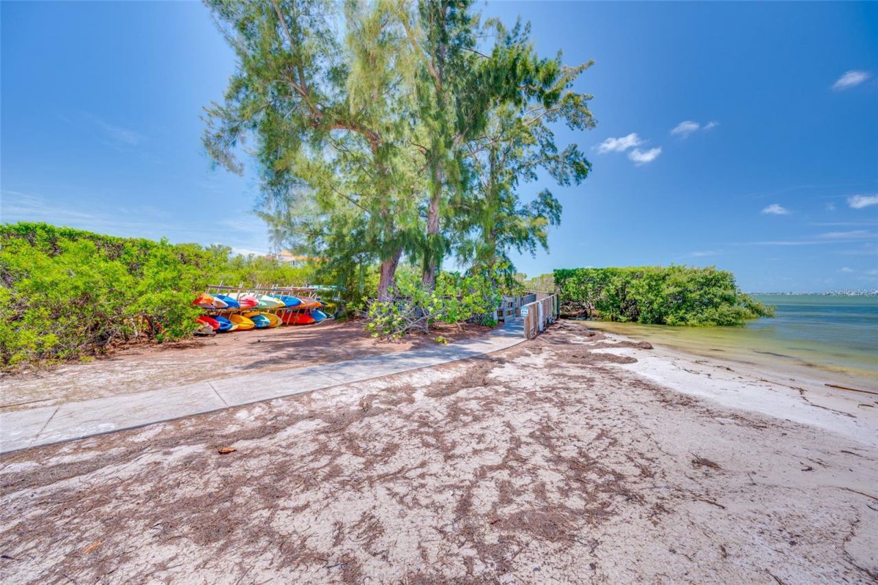 4750 Dolphin Cay Lane S, Unit 509, Saint Petersburg, FL 33711 Photo