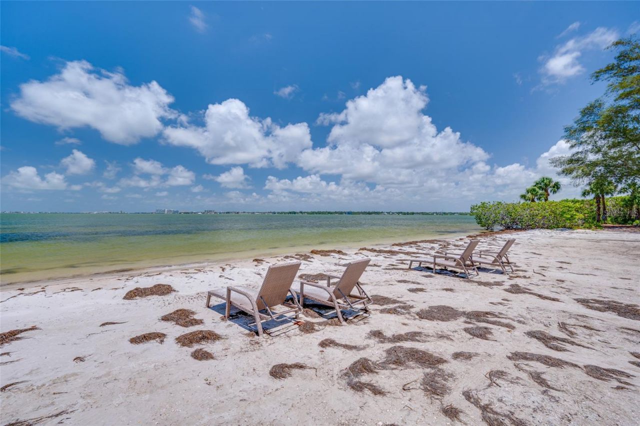4750 Dolphin Cay Lane S, Unit 509, Saint Petersburg, FL 33711 Photo