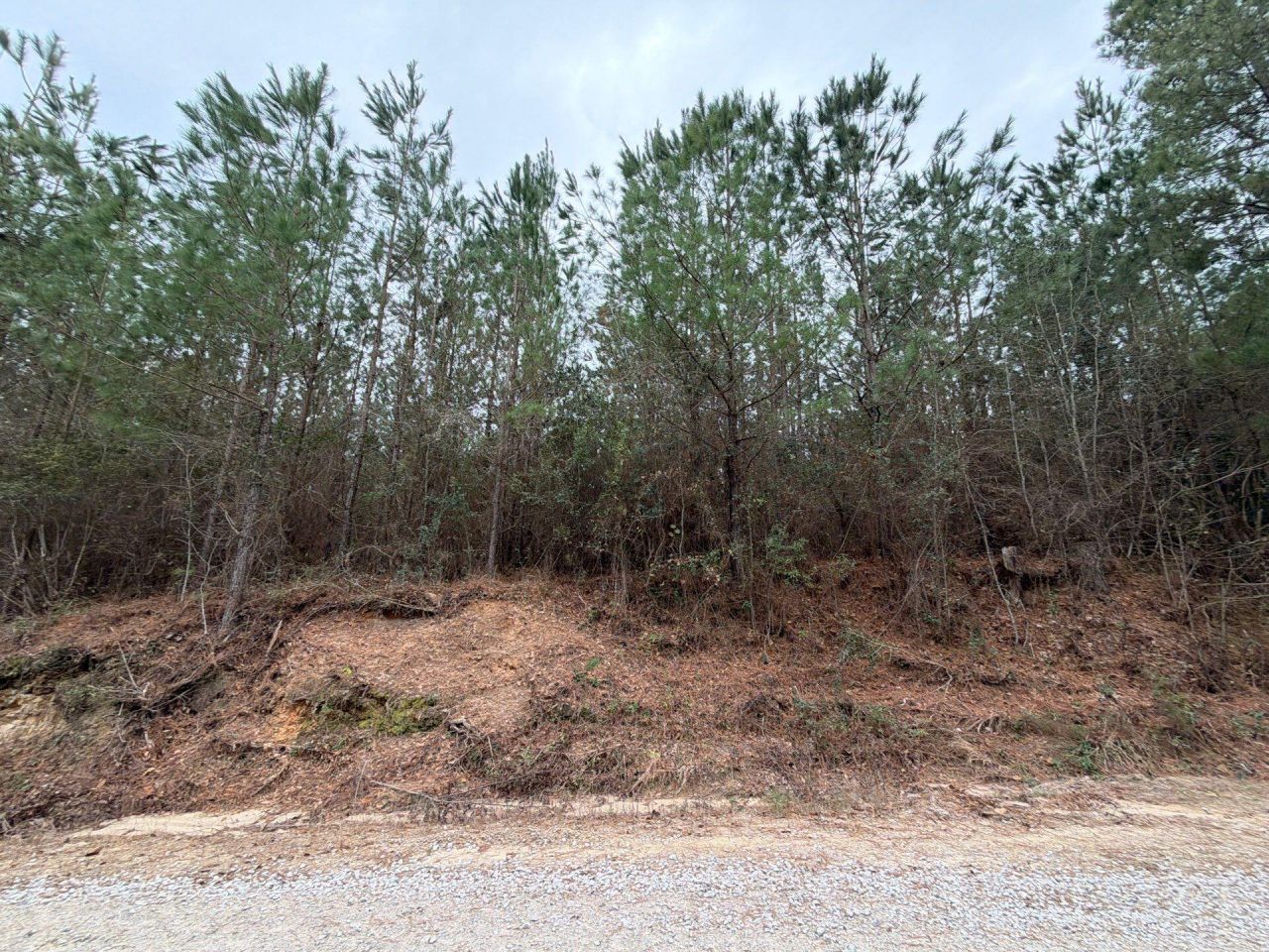 Bff II 2 J C Barefoot Road Photo 5