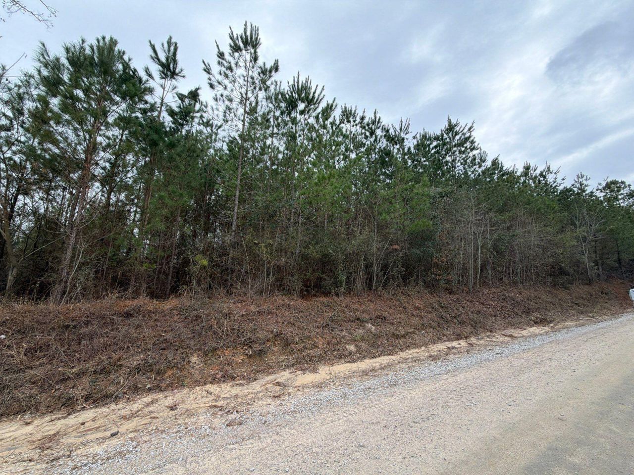 Bff II 2 J C Barefoot Road Photo 6