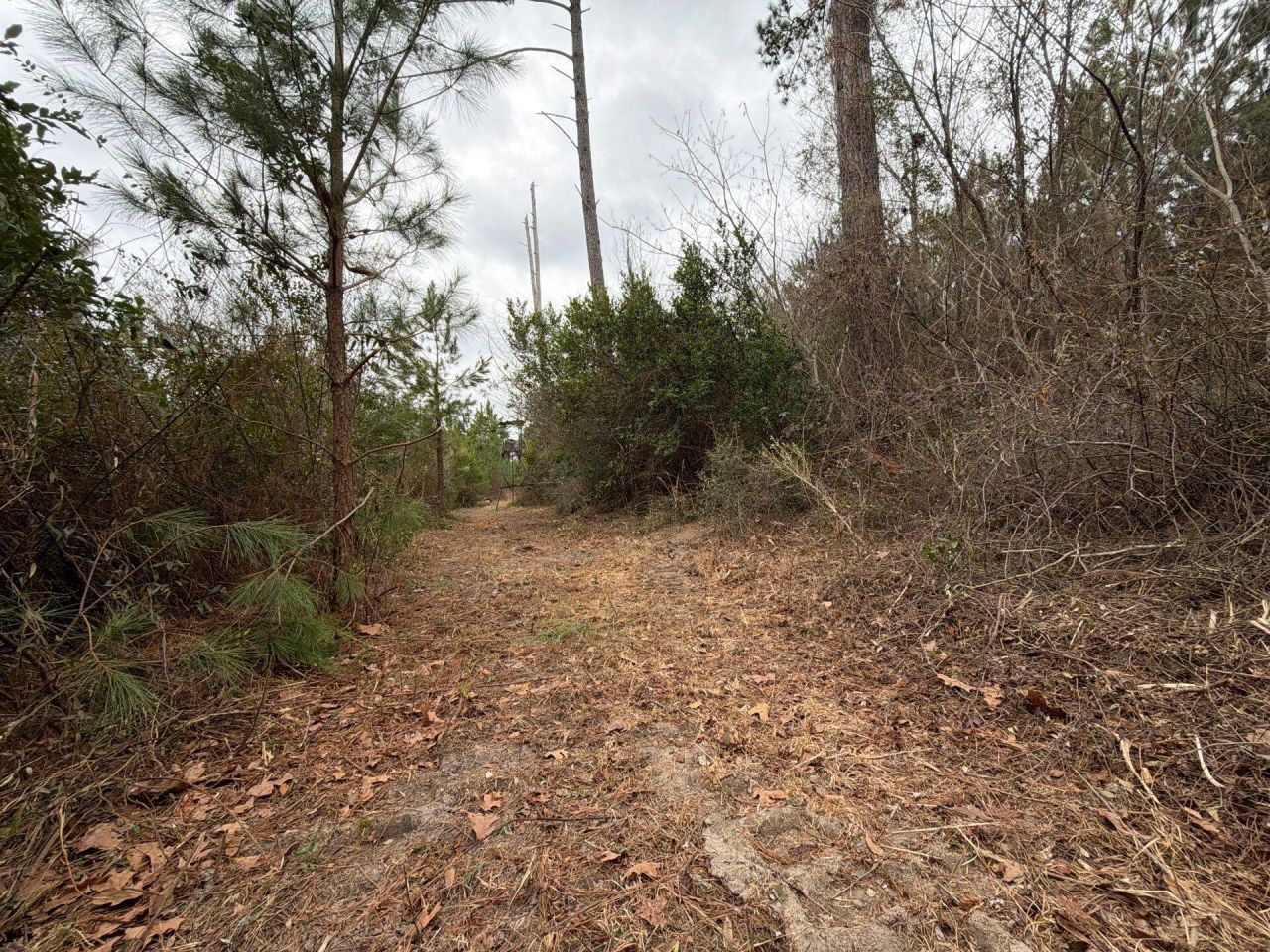 Bff II 2 J C Barefoot Road Photo 7