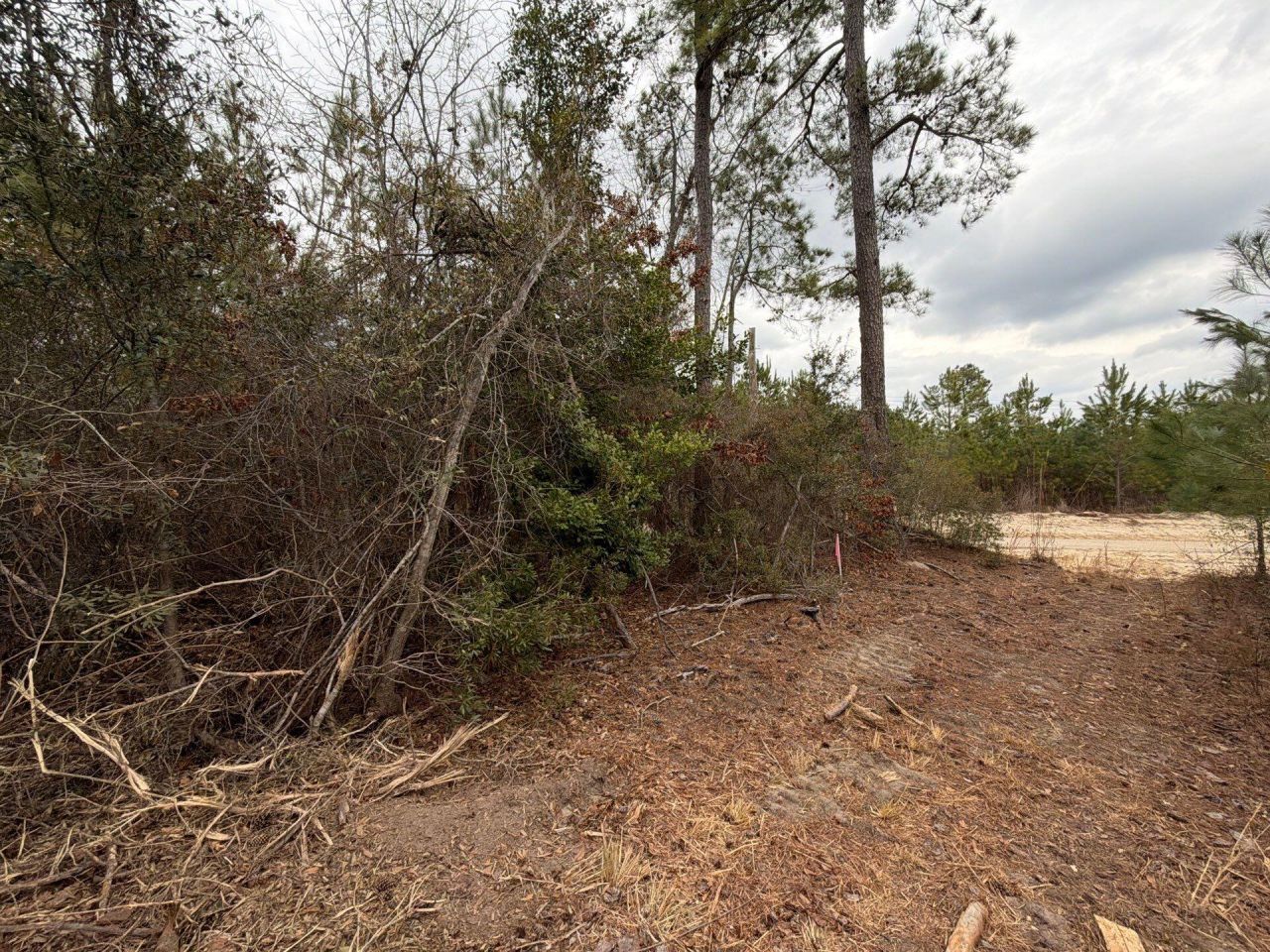 Bff II 2 J C Barefoot Road Photo 8