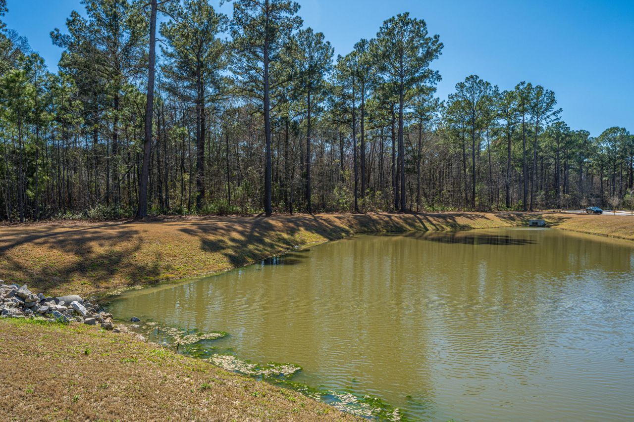 8016 Reagan Way Photo 33