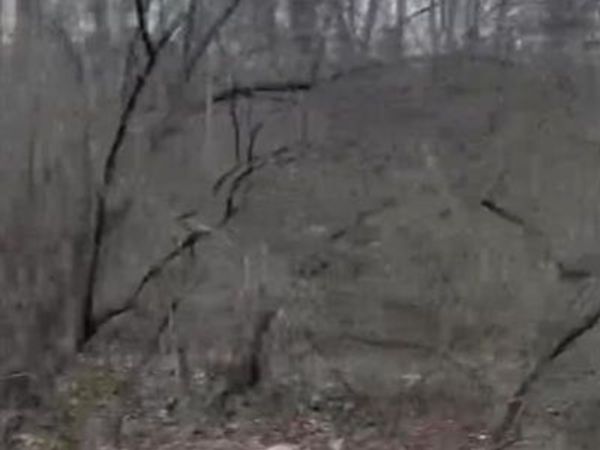 308 Pawnee , Irondale, MO 63648