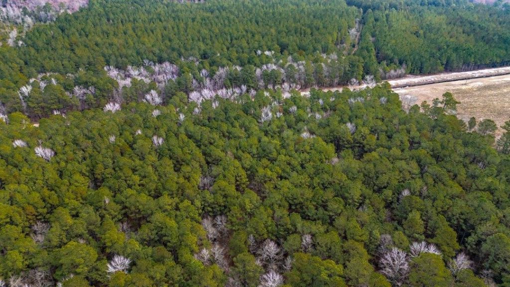 9060 Black Creek Rd. Photo 10