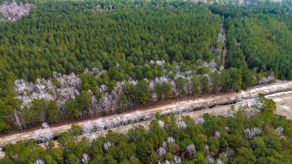 9060 Black Creek Rd. Photo 11