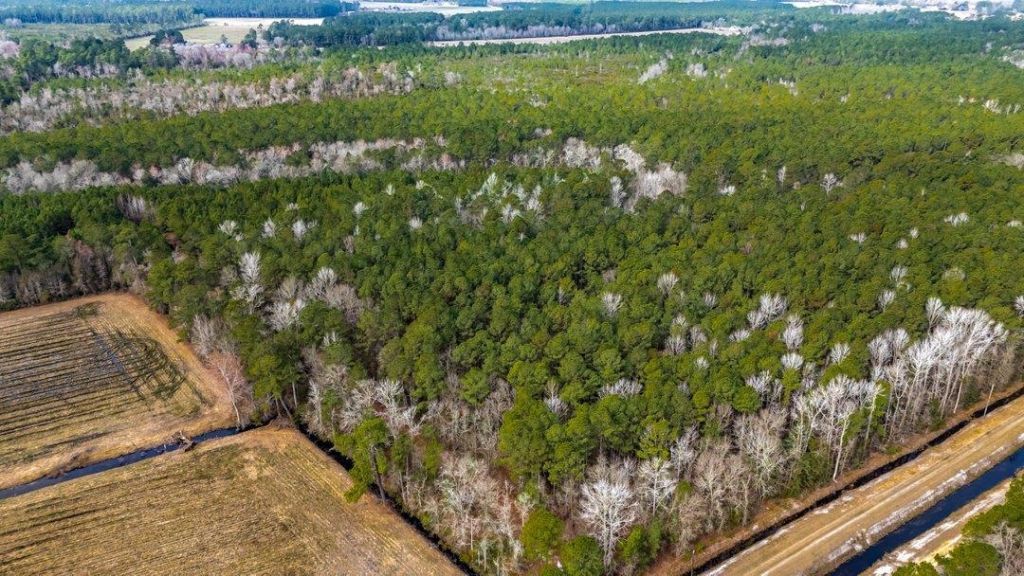 9060 Black Creek Rd. Photo 12