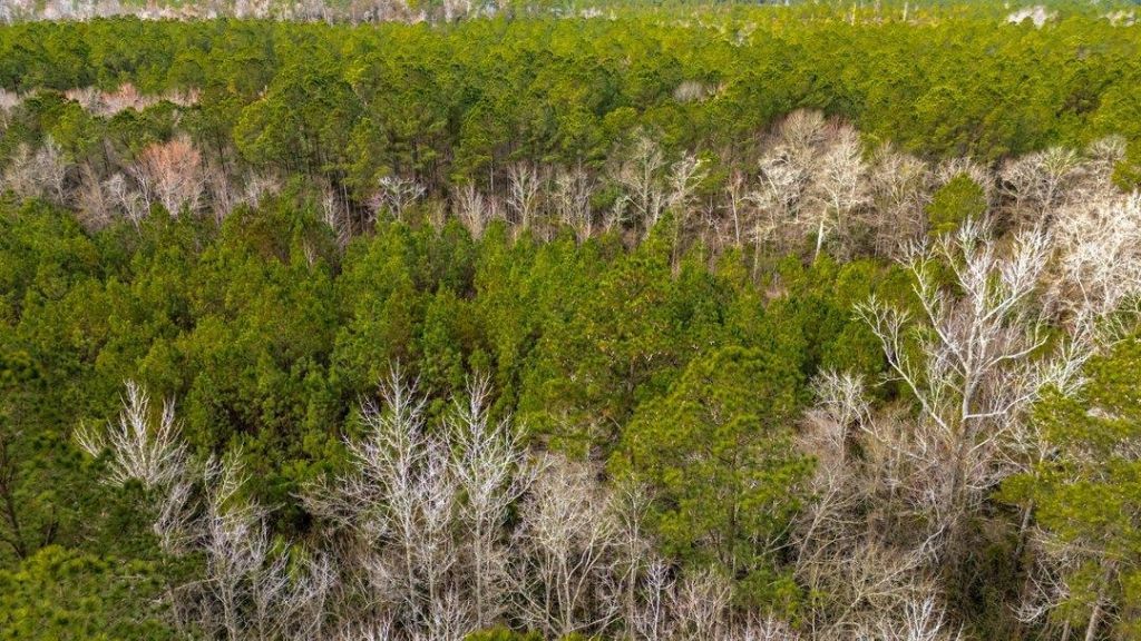 9060 Black Creek Rd. Photo 13