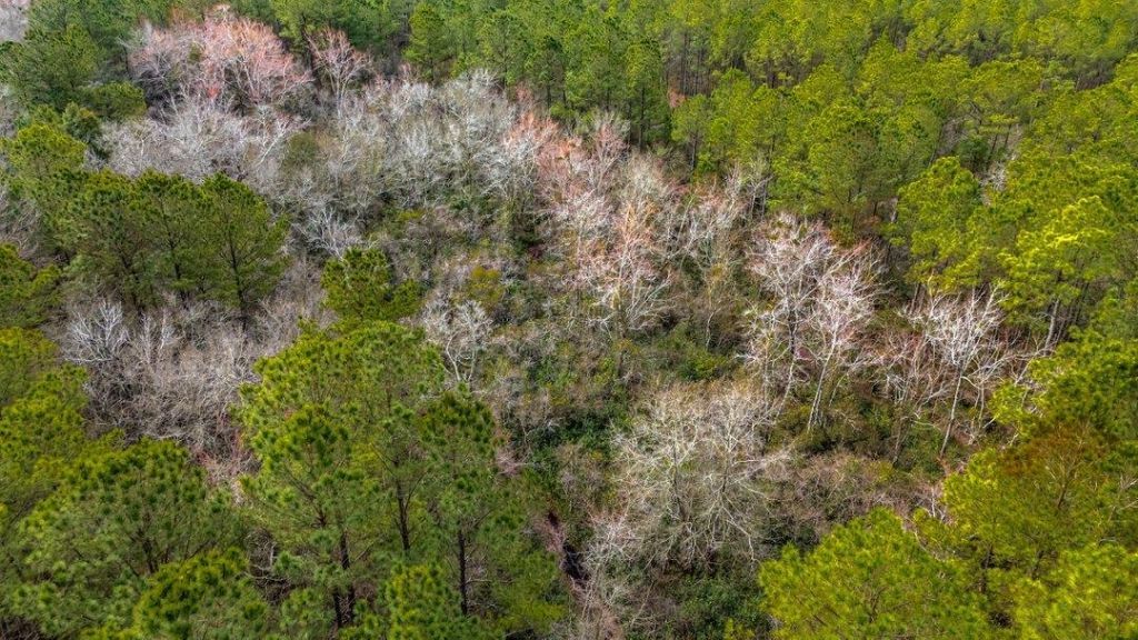 9060 Black Creek Rd. Photo 14