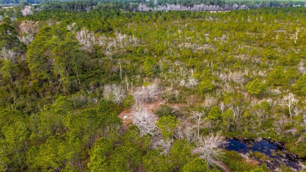 9060 Black Creek Rd. Photo 15