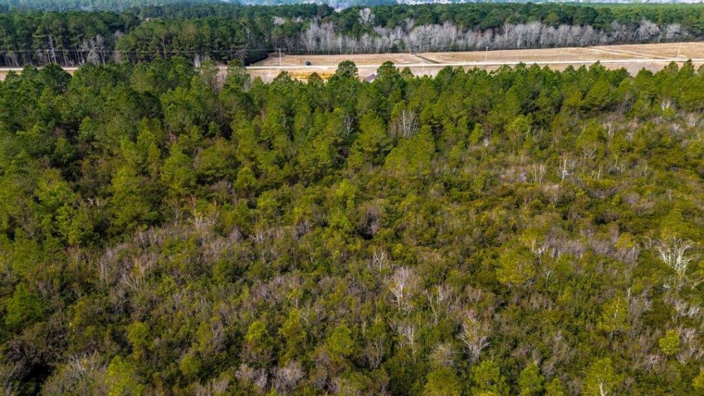 9060 Black Creek Rd. Photo 16