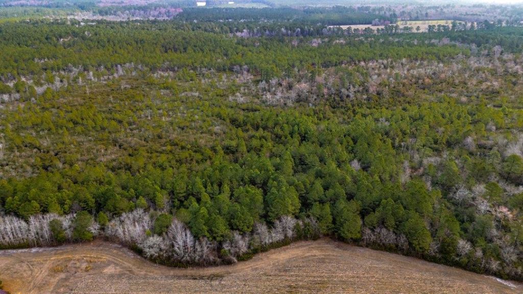 9060 Black Creek Rd. Photo 5