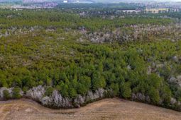 9060 Black Creek Rd. photo 4