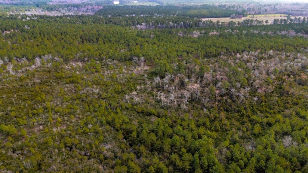 9060 Black Creek Rd. Photo 6