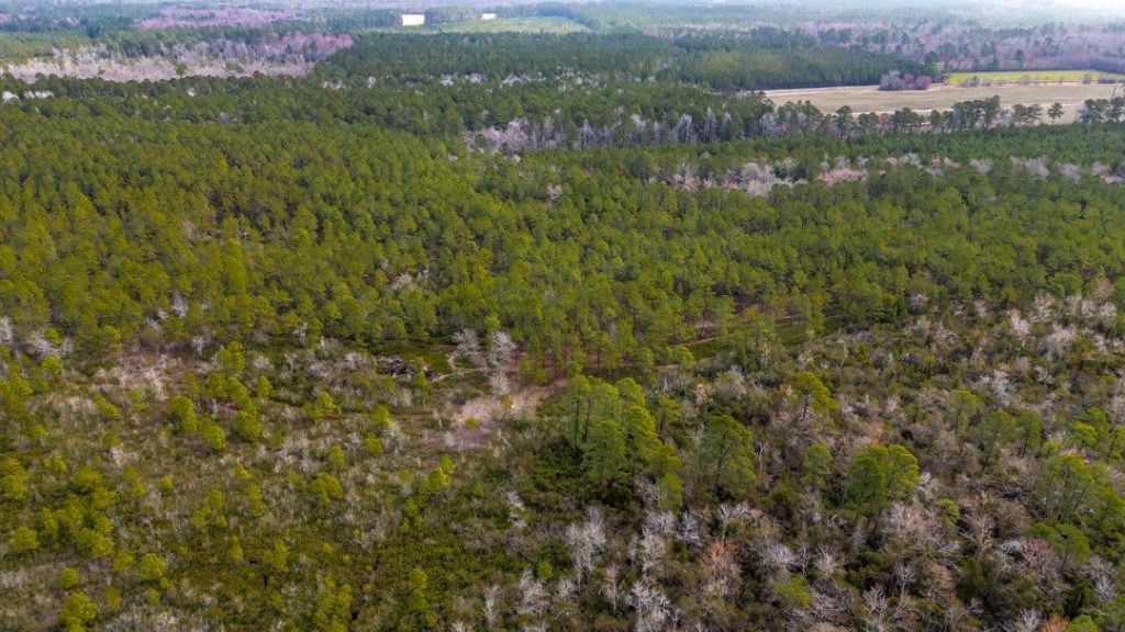 9060 Black Creek Rd. Photo 7