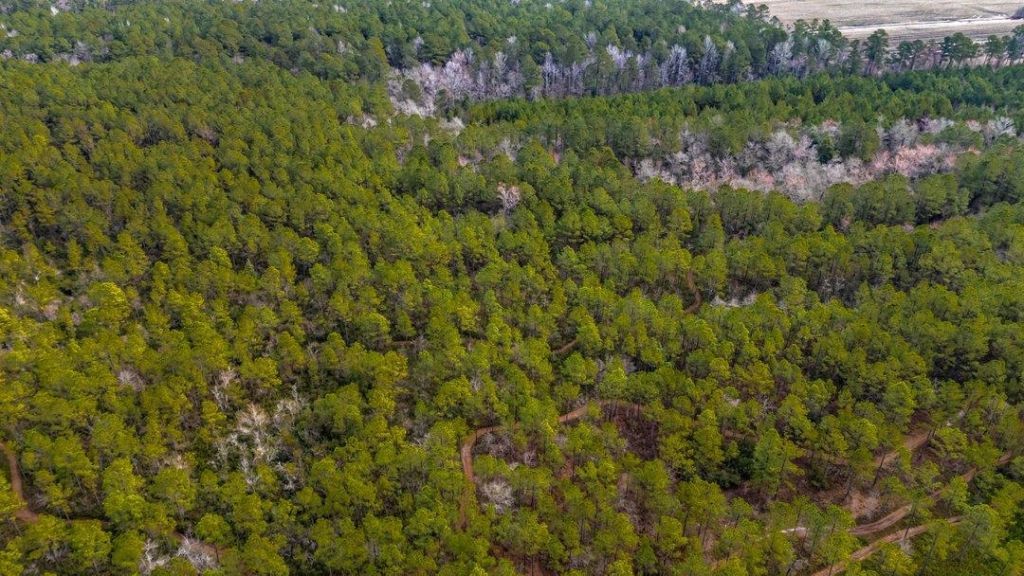 9060 Black Creek Rd. Photo 8