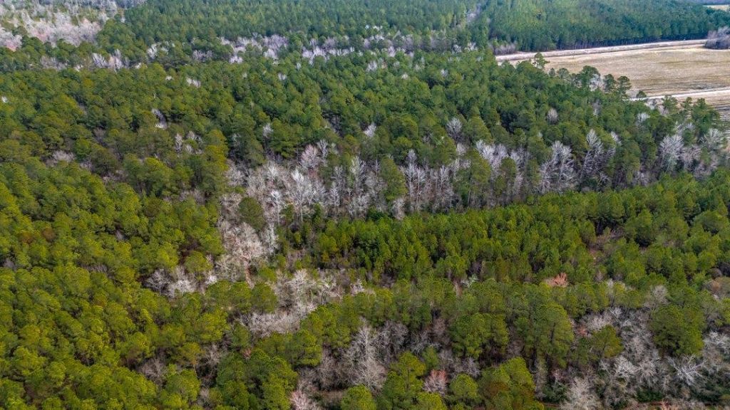 9060 Black Creek Rd. Photo 9