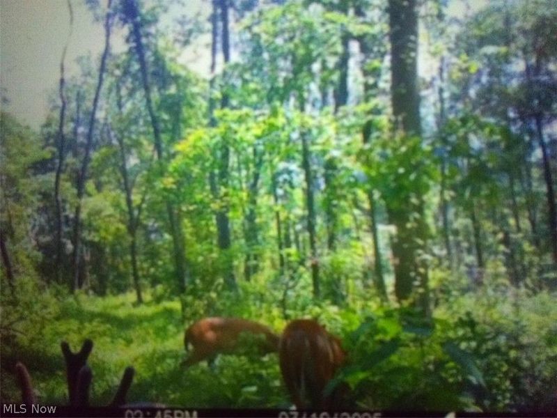 8155 Westfall Street SE, East Canton, OH 44730 Photo 10