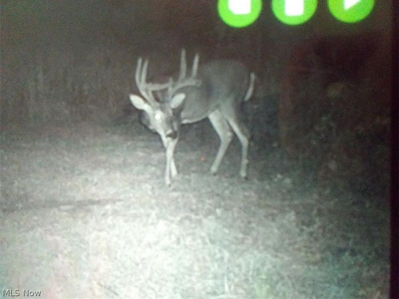 8155 Westfall Street SE, East Canton, OH 44730 Photo 11