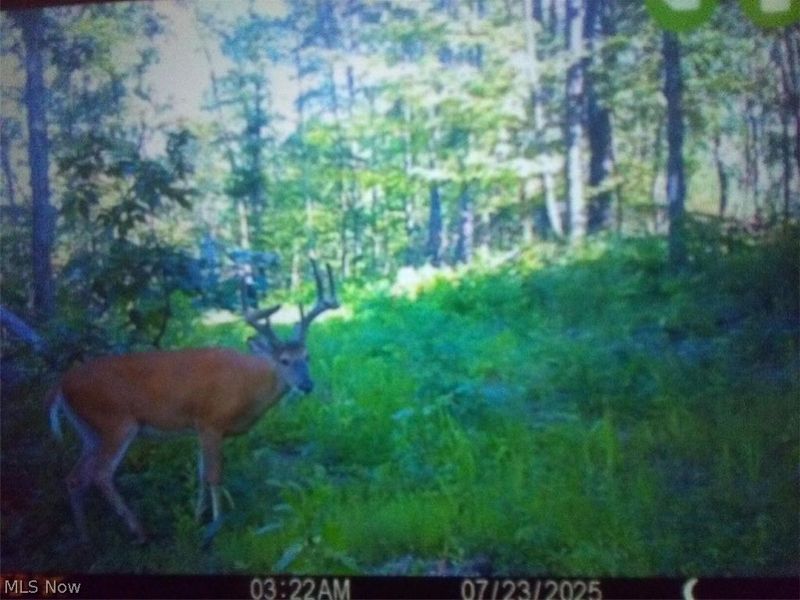 8155 Westfall Street SE, East Canton, OH 44730 Photo 12