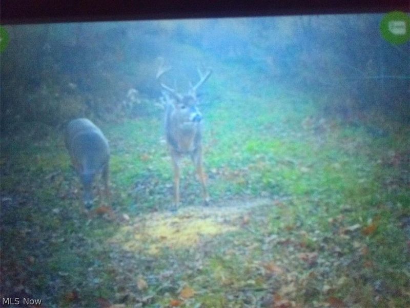 8155 Westfall Street SE, East Canton, OH 44730 Photo 13