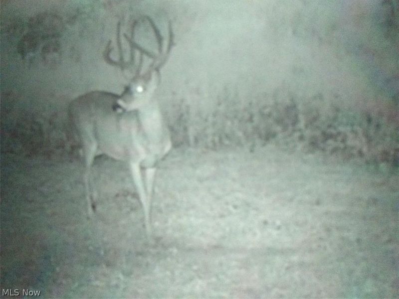 8155 Westfall Street SE, East Canton, OH 44730 Photo 14